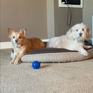 Meet your Posher, Tim